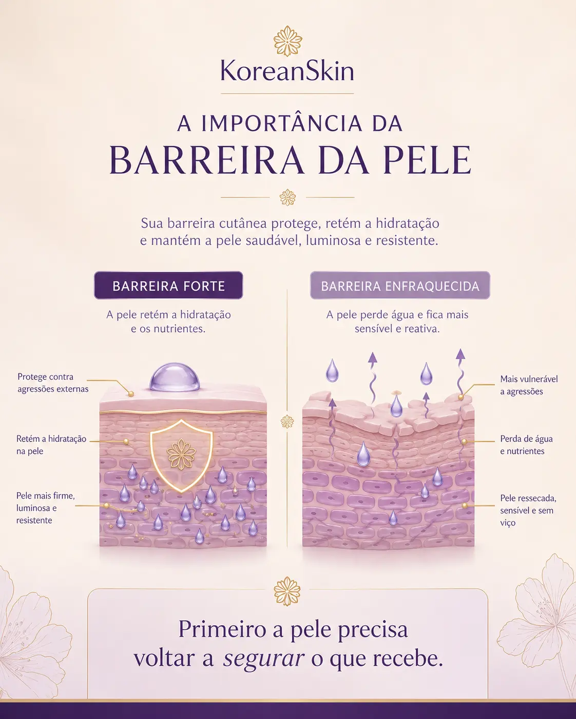 Infográfico comparando barreira da pele forte e enfraquecida